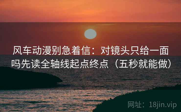 风车动漫别急着信：对镜头只给一面吗先读全轴线起点终点（五秒就能做）